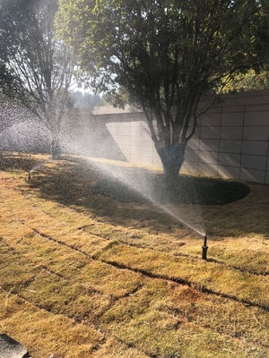 この 水 / 掃除 噴水器 で 芝生 庭 園 と 庭 を 改善 し て ください