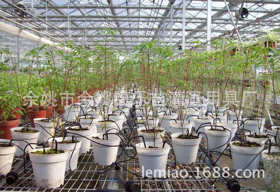 家庭用植物の灌?? 装置のための特殊設計ドロップ矢印スプリングラー