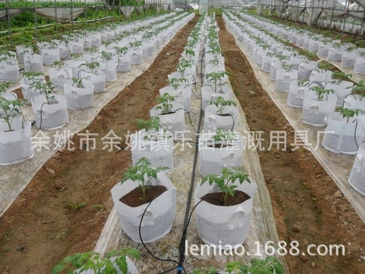 家庭用植物の灌?? 装置のための特殊設計ドロップ矢印スプリングラー