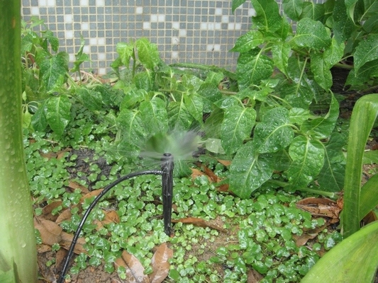 庭園における一貫した農園灌水を目的とする射線/遠心分離器挿入リンクスプリングラー